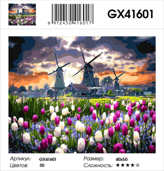 GX 41601