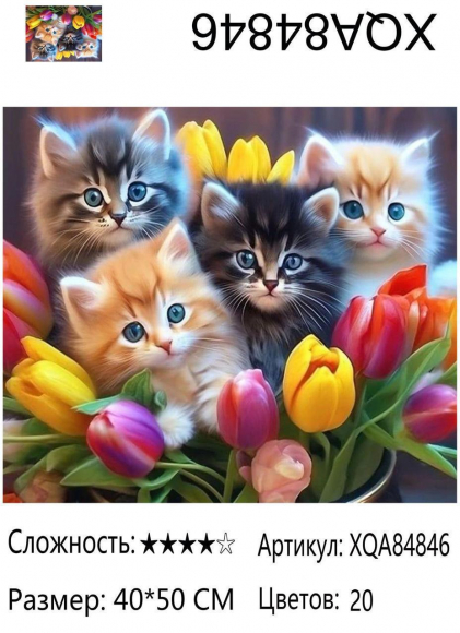 XQA84846 Мозаика 40*50 круг.стразы Под заказ 