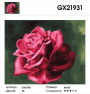 GX 21931 GX 21931