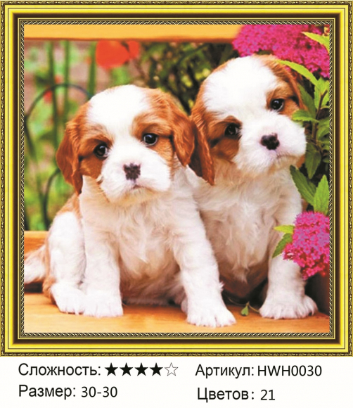 HWH0030 Под заказ 