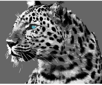 Белый Леопард