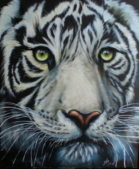 Q2094 Тигр
