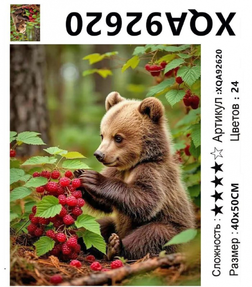 XQA92620 Мозаика 40*50 круг.стразы Под заказ