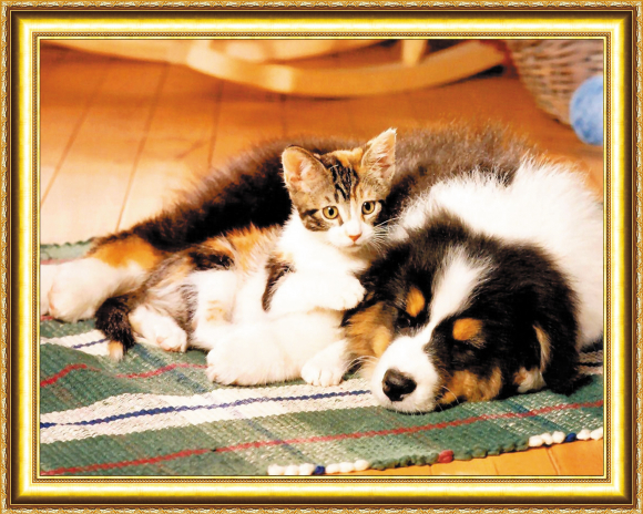 HWA 2939 Под заказ Опт + Розница