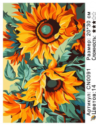 CN0091 Картины по номерам 20*30 цвет.холст Под заказ  CN0091 Картины по номерам 20*30 цвет.холст Под заказ