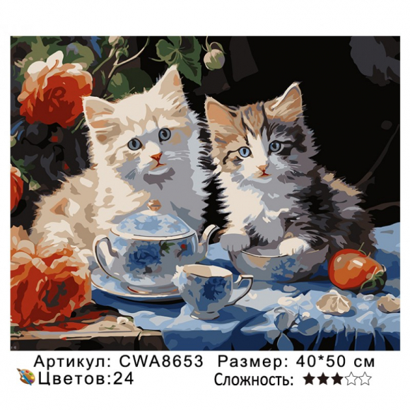 CWA8653 Под заказ 