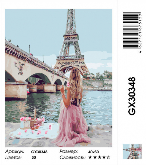GX 30348 ПИКНИК В ПАРИЖЕ GX 30348 ПИКНИК В ПАРИЖЕ