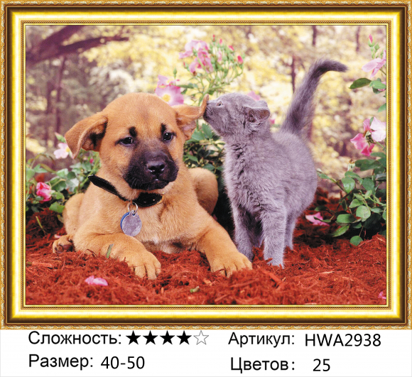HWA2938  Щенок и кот