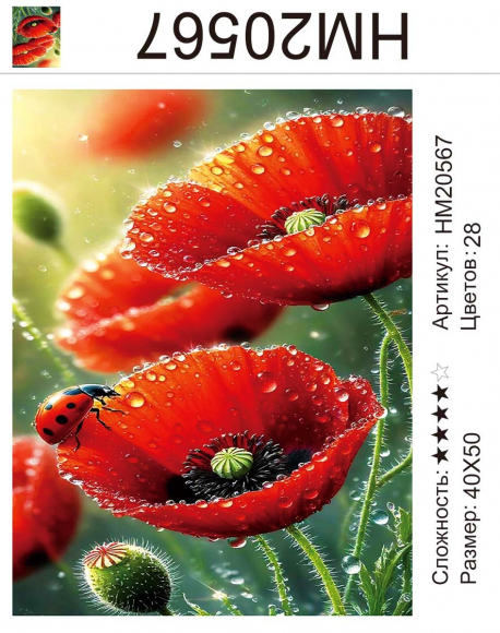 HM20567 Под заказ 