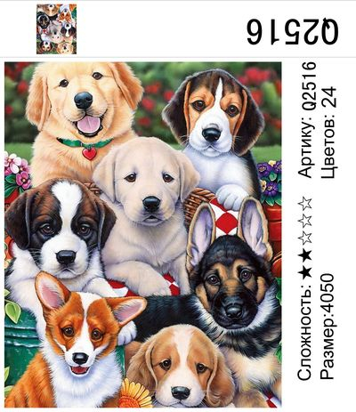 Фото на память Фото на память