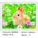 HWE0178 HWE0178