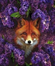 GX 30367 ЛИСА В СИРЕНИ УЦЕНКА GX 30367 ЛИСА В СИРЕНИ УЦЕНКА