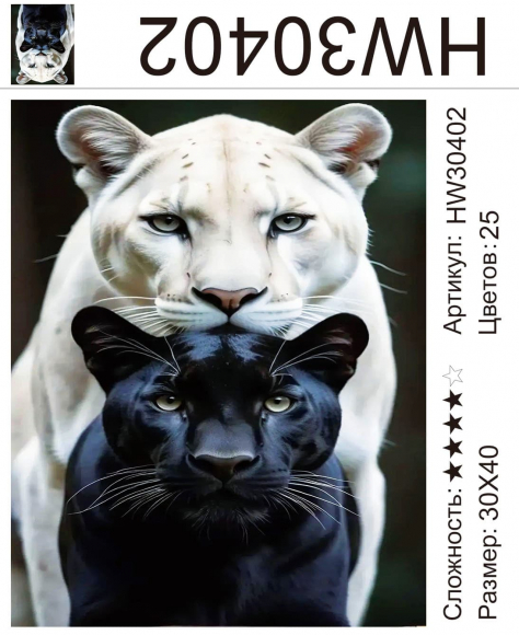 HW30402 Под заказ HW30402 Под заказ