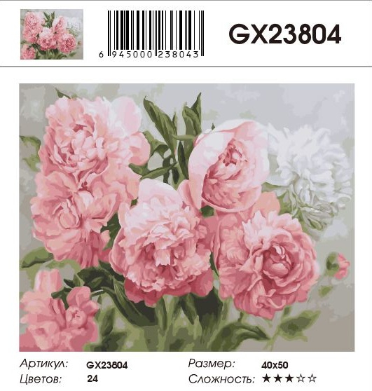 GX 23804 