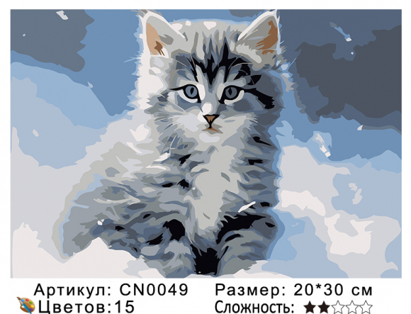 CN0049 Картины по номерам 20*30 цвет.холст Под заказ