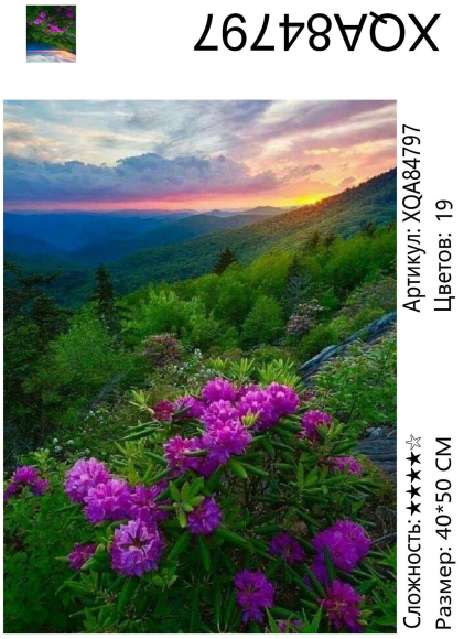 XQA84797 Мозаика 40*50 круг.стразы Под заказ  