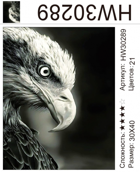 HW30289 Под заказ 