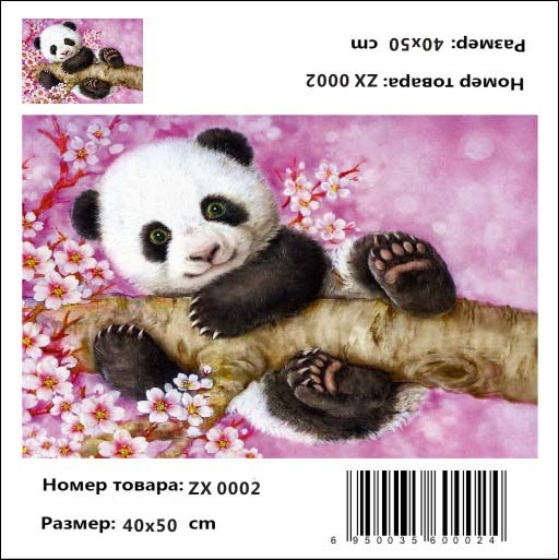 Коала Коала