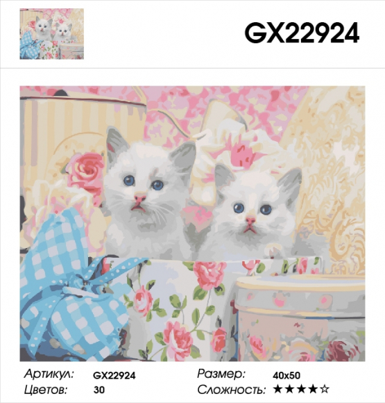 GX 22924 Белые котята