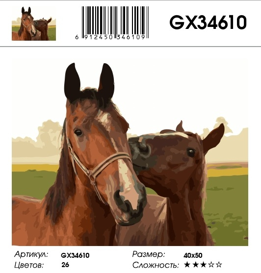 GX 34610 GX 34610