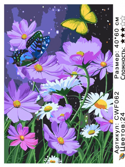 CWF062 рисование 40*60 цвет.холст Под заказ