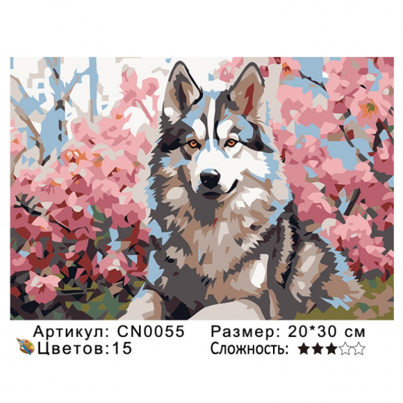 CN0055 Картины по номерам 20*30 цвет.холст Под заказ