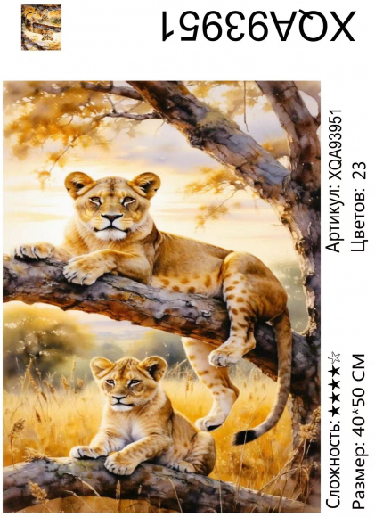 XQA93951 Мозаика 40*50 круг.стразы Под заказ  