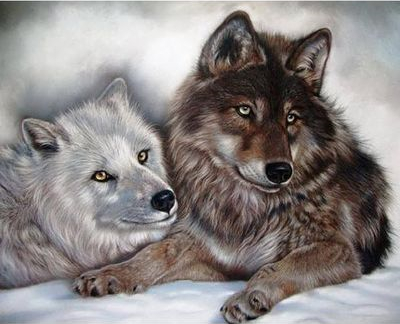 Волчица и волк Волчица и волк