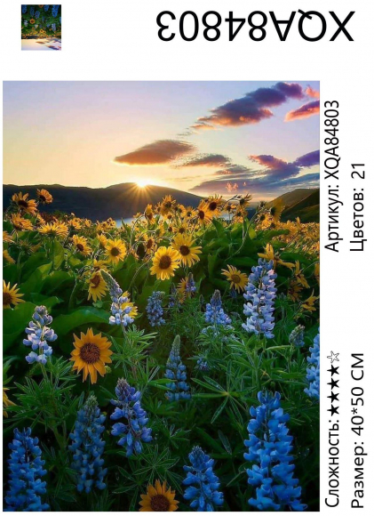 XQA84803 Мозаика 40*50 круг.стразы Под заказ  
