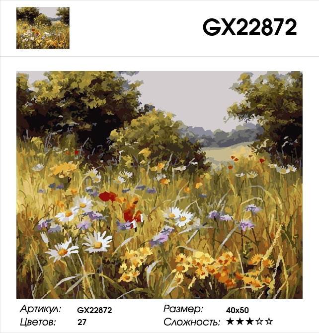 GX 22872