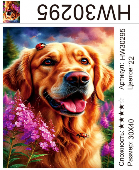 HW30295 Под заказ HW30295 Под заказ