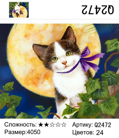 Лунный котик Лунный котик