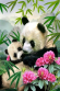 Панда со своим детенышем