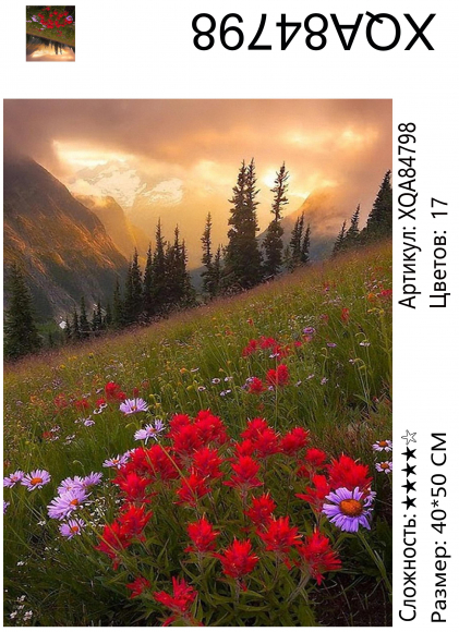 XQA84798 Мозаика 40*50 круг.стразы Под заказ 