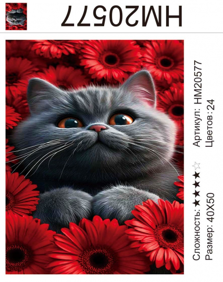 HM20577 Под заказ  