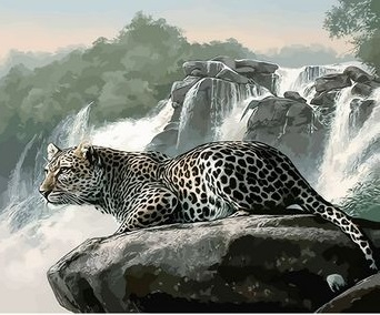 Леопард На Камне