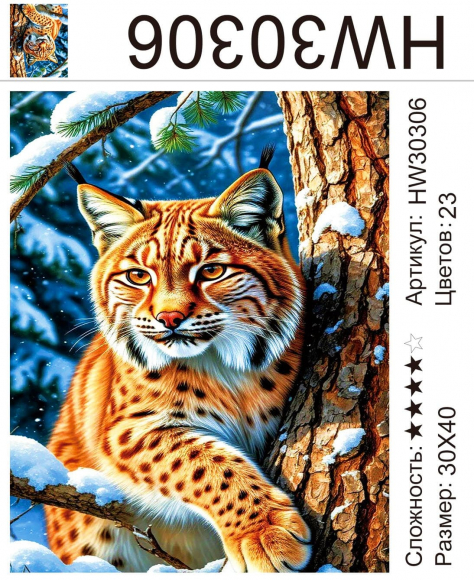 HW30306 Под заказ 