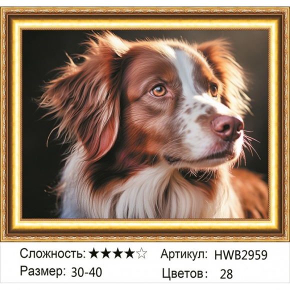 HWB2959 Под заказ 