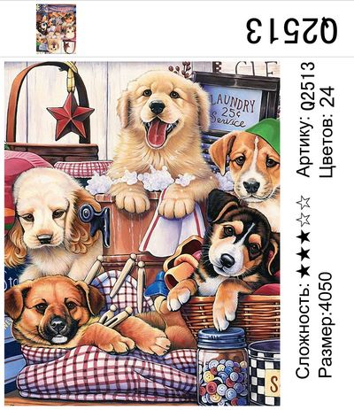 Ждём хозяина