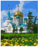 CWA8379 Под заказ 