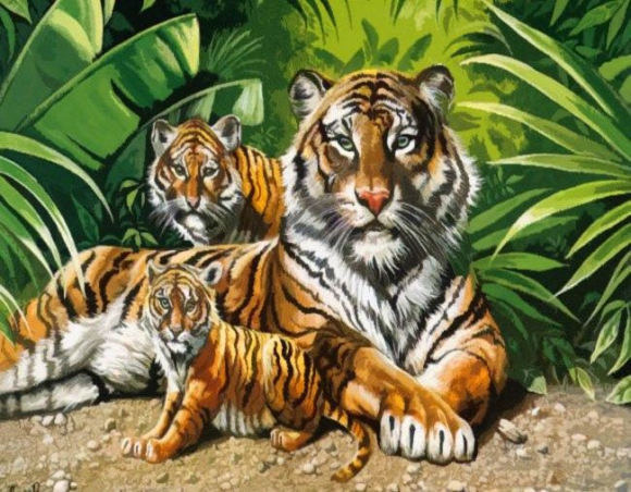 Тигрята с тигрицой