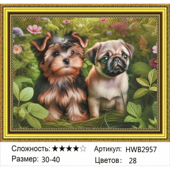 HWB2957 Под заказ 