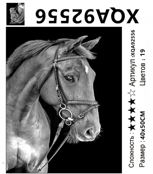 XQA92556 Мозаика 40*50 круг.стразы Под заказ   