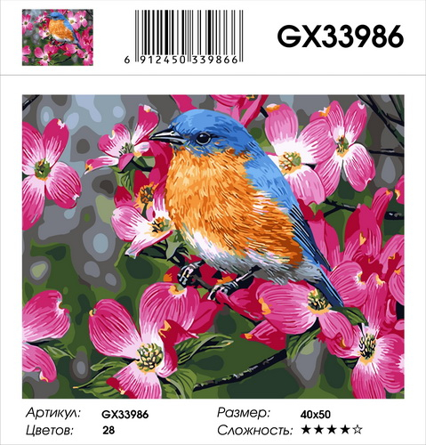 GX 33986 