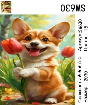 SW630 Под заказ 