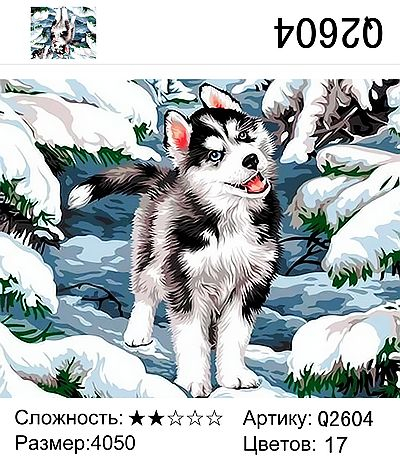 Щенок хаски