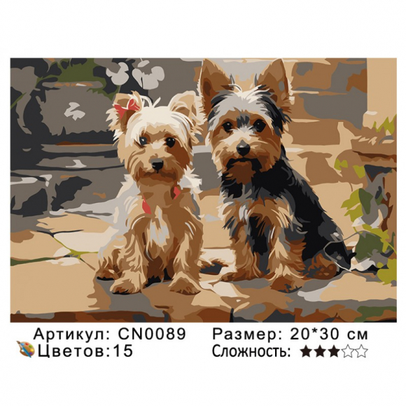 CN0089 Картины по номерам 20*30 цвет.холст Под заказ 