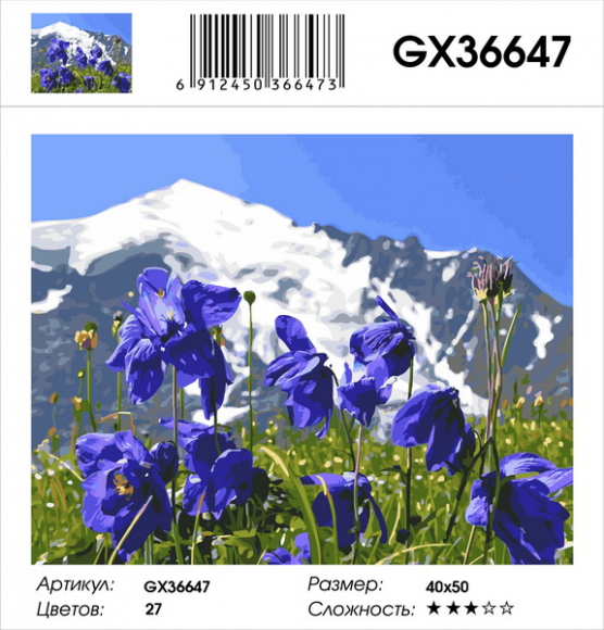 GX 36647