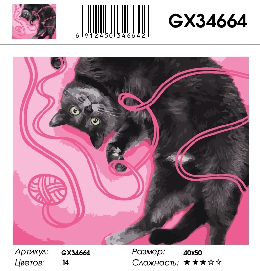 GX 34664 