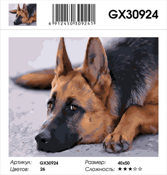 GX 30924